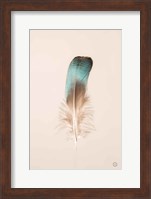 Floating Feathers IV Fine Art Print