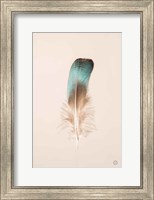 Floating Feathers IV Fine Art Print