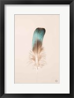 Floating Feathers IV Framed Print