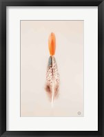 Floating Feathers I Framed Print