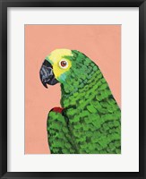 Parrot Head Fine Art Print