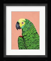 Parrot Head Fine Art Print