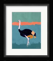 Ostrich Fine Art Print