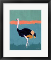 Ostrich Fine Art Print
