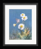 White Daisies Framed Print