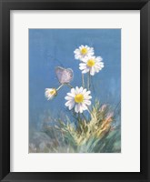 White Daisies Framed Print