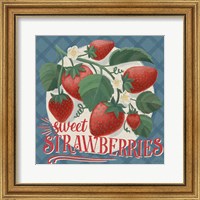 Berry Breeze IV Fine Art Print