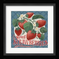 Berry Breeze IV Framed Print