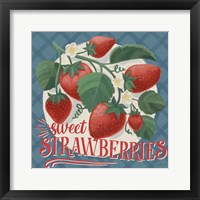 Berry Breeze IV Fine Art Print