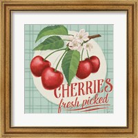 Berry Breeze III Fine Art Print