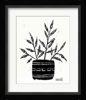 Botanical Sketches IX Framed Print