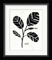 Botanical Sketches IV Framed Print