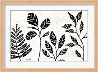 Botanical Sketches I Fine Art Print
