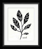 Botanical Sketches III Framed Print