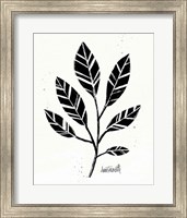 Botanical Sketches III Fine Art Print