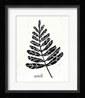 Botanical Sketches II Framed Print