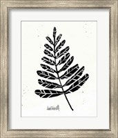 Botanical Sketches II Fine Art Print