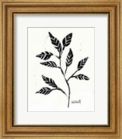 Botanical Sketches V Fine Art Print
