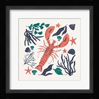 Coastal Reef III Framed Print