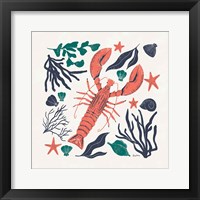 Coastal Reef III Framed Print