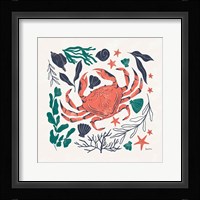 Coastal Reef II Framed Print