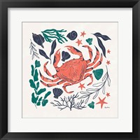 Coastal Reef II Framed Print