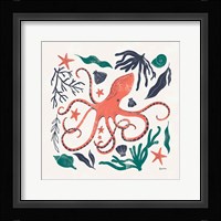 Coastal Reef IV Framed Print