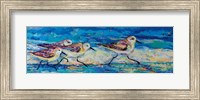 Racing Plovers Fine Art Print