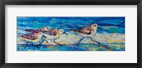 Racing Plovers Fine Art Print