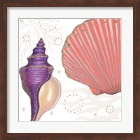 Shimmering Shells I Fine Art Print