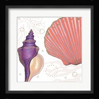 Shimmering Shells I Framed Print