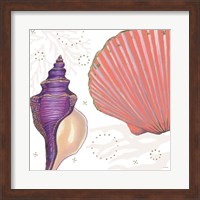 Shimmering Shells I Fine Art Print