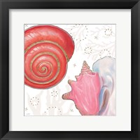 Shimmering Shells IV Fine Art Print