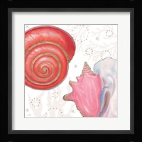 Shimmering Shells IV Fine Art Print
