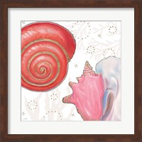 Shimmering Shells IV Fine Art Print