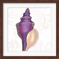 Shimmering Shells IX Fine Art Print