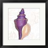 Shimmering Shells IX Fine Art Print
