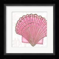 Shimmering Shells V Framed Print