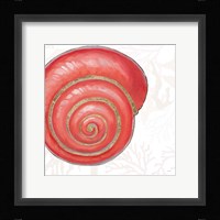 Shimmering Shells VII Fine Art Print