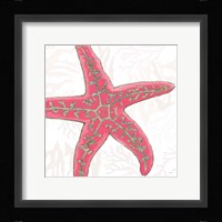 Shimmering Shells VIII Fine Art Print