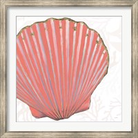Shimmering Shells XI Fine Art Print