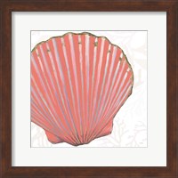 Shimmering Shells XI Fine Art Print