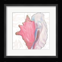 Shimmering Shells XII Framed Print