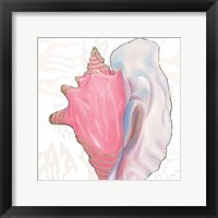 Shimmering Shells XII Fine Art Print