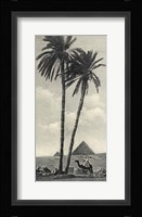 Cairo IV Crop Fine Art Print