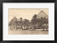 Egypt Postcard II Framed Print