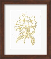 Gold Blooms III Fine Art Print