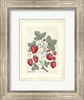 Sweet Summer Strawberries I Fine Art Print