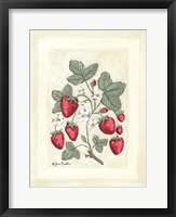 Sweet Summer Strawberries I Framed Print