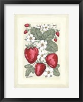 Sweet Summer Strawberries II Framed Print